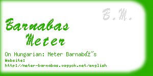 barnabas meter business card